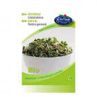 Réde bio retekmag csíráztatásra 15g 