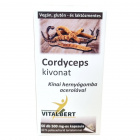 Vitalbert Cordyceps (hernyógomba) kivonat kapszula 60db 