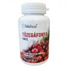 Bioheal Tőzegáfonya forte kapszula 70db 